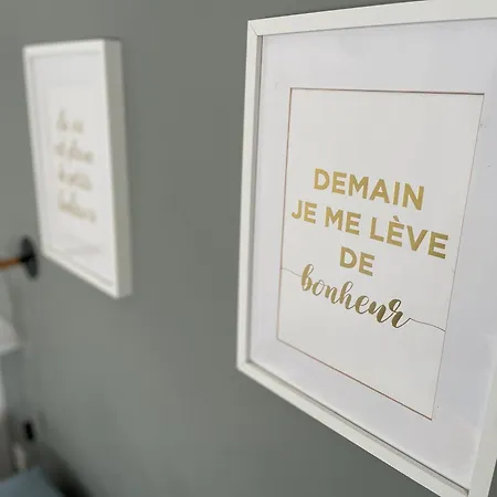 Les Oiseaux-2 Idealement Place Proche Et Centre