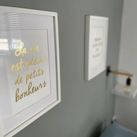 Les Oiseaux-2 Idealement Place Proche Et Centre