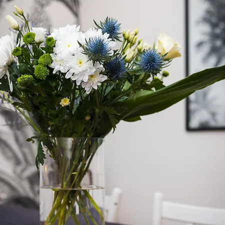 Appartamento Les Oiseaux-2 Idéalement Placé Proche Et Centre Le Touquet